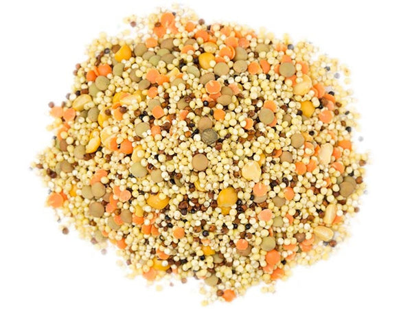 SUNRIDGE FARM: Organic Tri Color Quinoa, 25 lb