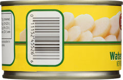 DYNASTY: Water Chestnuts Sliced, 8 oz