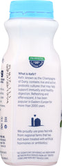 LIFEWAY: Blueberry Lowfat Kefir, 8 oz