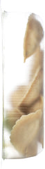 NASOYA: Organic Tofu Vegetable Dumplings, 9 oz