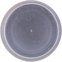 DEC A CAKE: Sprinkles Chocolate Cup, 3.5 oz