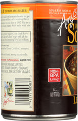 AMY'S: Organic Soup Lentil Light In Sodium, 14.5 oz