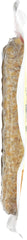 LIGHTLIFE: Organic Three Grain Tempeh, 8 oz