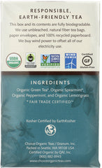 CHOICE TEA: Organic Green Moroccan Mint Tea, 16 bg