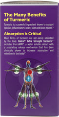 NATROL: Turmeric High Absorption, 60 cp