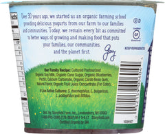 STONYFIELD: Organic Made from Soy Blueberry, 5.3 oz