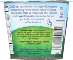 STONYFIELD: Organic Made from Soy Raspberry, 5.3 oz