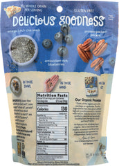 NATURES PATH: Blueberry Pecan with Chia Granola, 11 oz