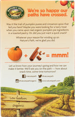 NATURES PATH: Toaster Pastry Frosted Pumpkin Pie, 11 oz