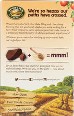NATURE'S PATH: Organic Frosted Lotta Chocolotta Toaster Pastries, 11 oz