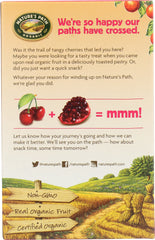 NATURE'S PATH: Organic Frosted Cherry Pomegranate Toaster Pastries, 11 oz