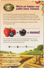 NATURES PATH: Organic Frosted Toaster Pastries Wildberry Acai, 11 oz