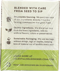 CELESTIAL SEASONINGS: Authentic Green Tea with White Tea 20 Tea Bags, 1.4 oz