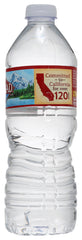 ARROWHEAD WATER: Spring Water Pet, 0.5 lt