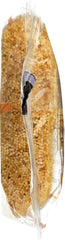 DELALLO: Capallini Pasta Bag, 16oz