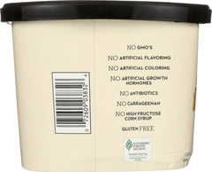 ALDENS: Organic Ice Cream Salted Caramel, 48 oz