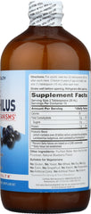 AMERICAN HEALTH: Probiotic Acidophilus Blueberry, 16 Oz