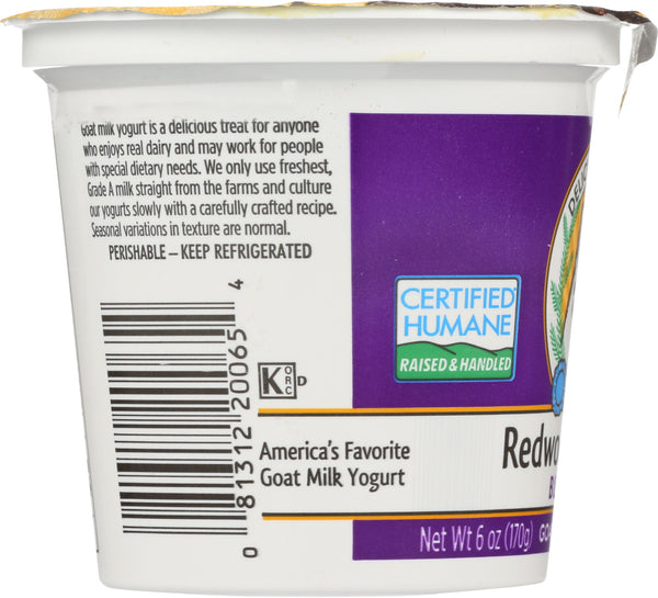 REDWOOD HILL FARM: Blueberry Goat Milk Yogurt, 6 oz