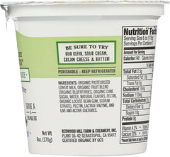 GREEN VALLEY ORGANICS: Yogurt Low Fat Lactose Free Blueberry, 6 oz