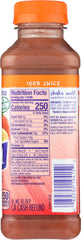 NAKED: Juice Strawberry Banana Pure Fruit 100% Juice Smoothie, 15.2 oz