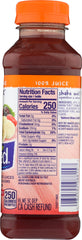 NAKED JUICE: Fruit Smoothie Berry Blast, 15.20 oz
