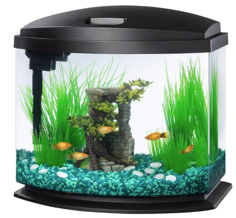 Aqueon LED MiniBow 5 SmartClean Aquarium Kit Black