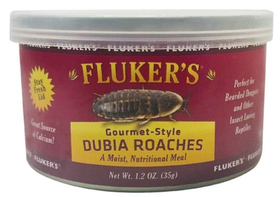 Flukers Gourmet Style Dubia Roaches