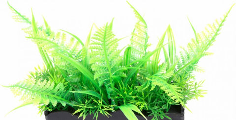 Penn Plax Ostrich Fern Bunch Plant 2"