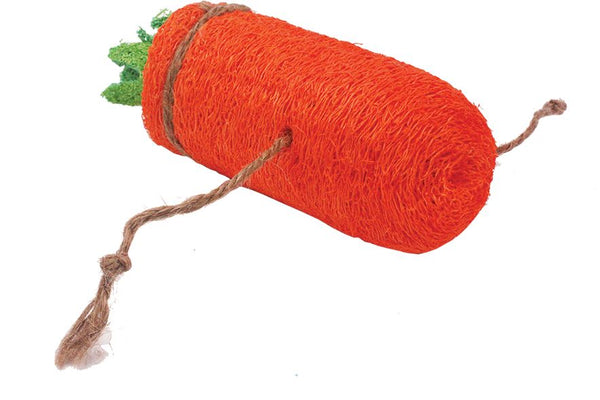 AE Cage Company Nibbles Carrot Loofah Chew Toy Large