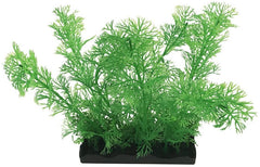 Penn Plax Green Clubmoss Bunch Plant Large