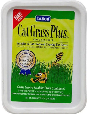 Gimborn Cat-A'bout Cat Grass Plus Multi-Cat