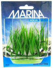 Marina Foreground Micro Sagittaria Aquarium Plant