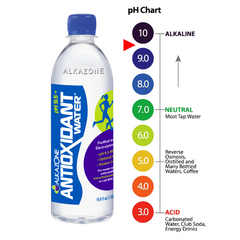 ALKAZONE: Antioxidant Water, 16.9 fl oz