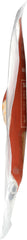 GARRETT VALLEY: Sugar Free Dry Rubbed Uncured Pork Bacon, 8 oz