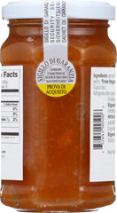 RIGONI: Fiordifrutta Organic Fruit Spread Apricot, 8.82 oz