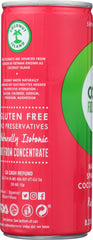 COCO FUZION 100: Natural Sparkling Coconut Water Raspberry, 8.3 oz