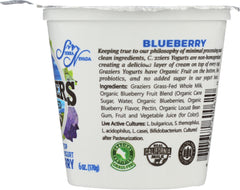 SIERRA NEVADA: Blueberry Whole Milk Yogurt, 6 oz