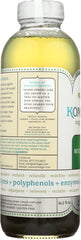 GT'S ENLIGHTENED KOMBUCHA: Multi Green Tea, 16 oz