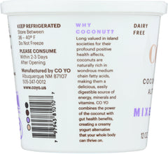 CO YO: Mixed Berry Coconut Yogurt Alternative, 12 oz