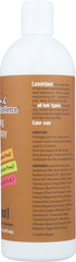 ORGANIC EXCELLENCE: Revitalizing Hair Therapy Wild Mint Shampoo, 16 oz