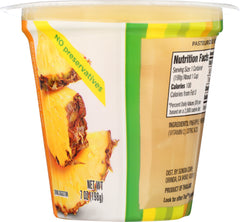 TRUE FRUIT: Pineapple Cup, 7oz