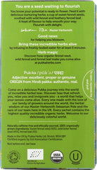 PUKKA HERBS: Three Fennel Herbal Tea, 20 bg