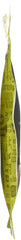 KRAVE: Beef Jerky Chili Lime 2.7 Oz