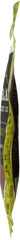 KRAVE: Beef Jerky Chili Lime 2.7 Oz