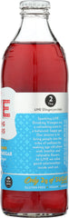 LIVE SODA: Drink Vinegars Blueberry & Ginger, 12 oz