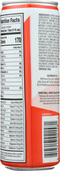 FOUNDATION FITNESS: Shake Chocolate 30g, 11 oz