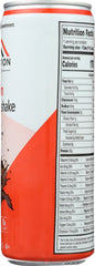 FOUNDATION FITNESS: Shake Chocolate 30g, 11 oz