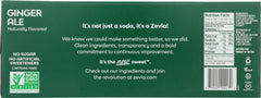 ZEVIA: Soda Ginger Ale 10 pk, 120 oz