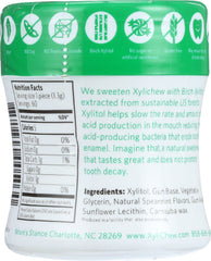 XYLICHEW: Sugar Free Chewing Gum Spearmint Jar, 60 pc