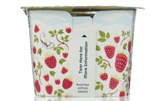 ICELANDIC PROVISIONS: Traditional Skyr Raspberry Yogurt, 5.30 oz